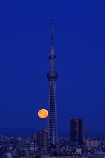 ほぼ満月と東京スカイツリー