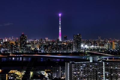 東京スカイツリー夜景「舞」