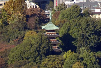 旧寛永寺五重塔