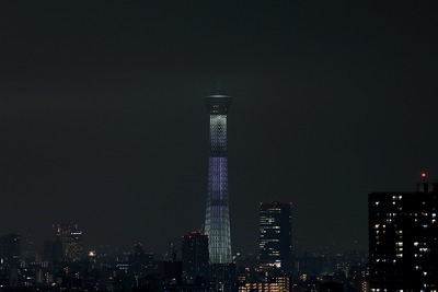 東京スカイツリー夜景「咲」