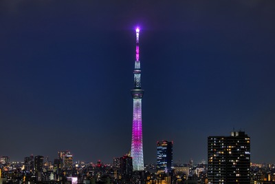 東京スカイツリー夜景「舞」