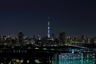 東京スカイツリー夜景「咲」