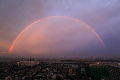 巨大な虹と東京スカイツリー