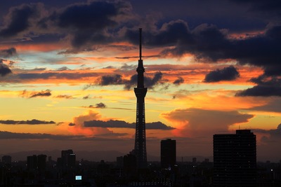 夕焼けと東京スカイツリー