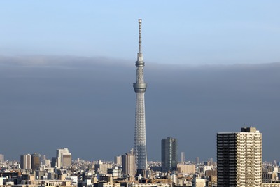 東京スカイツリー