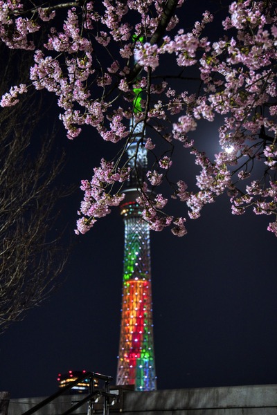 WORLD BASEBALL CLASSIC ロゴをイメージした特別ライティング