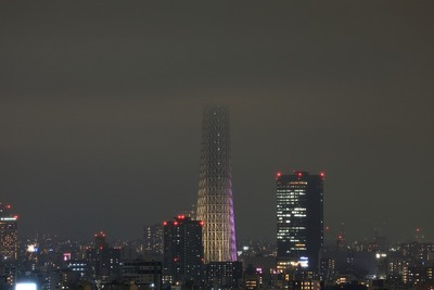 東京スカイツリー「雅」