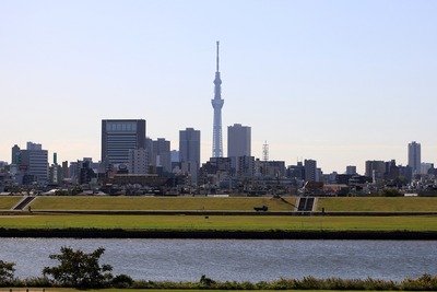 首都高C2から見た東京スカイツリー