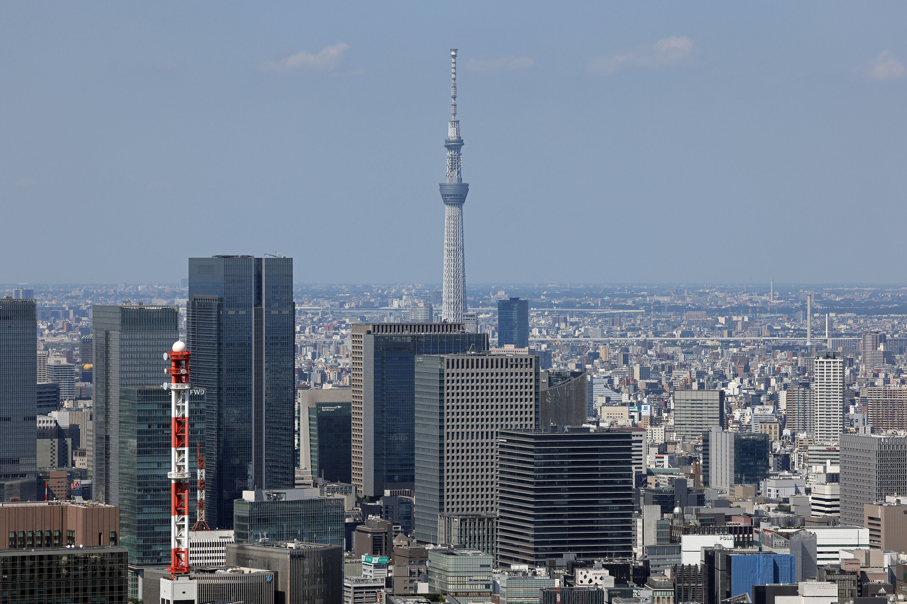 東京タワーから見た東京スカイツリー（2023年7月2日） : 東京