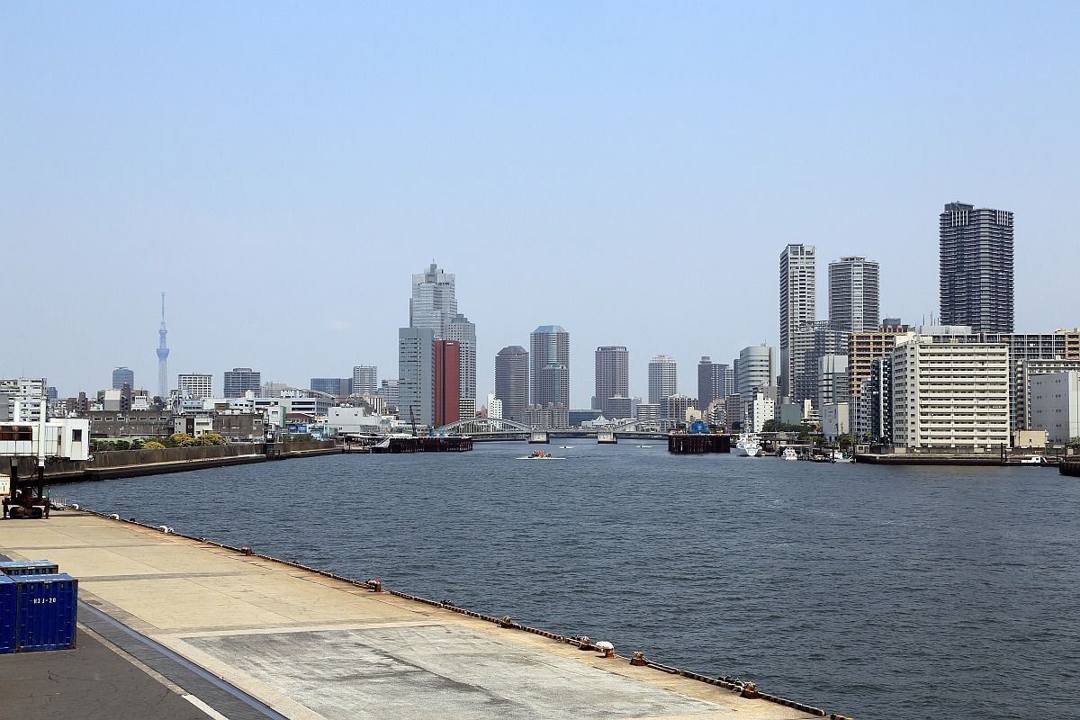 竹芝埠頭から見た東京スカイツリー 東京スカイツリー定点観測所