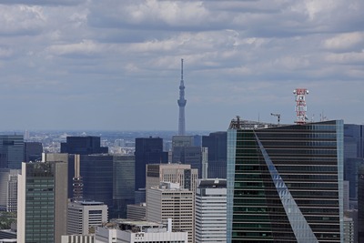 六本木ヒルズから見た東京スカイツリー