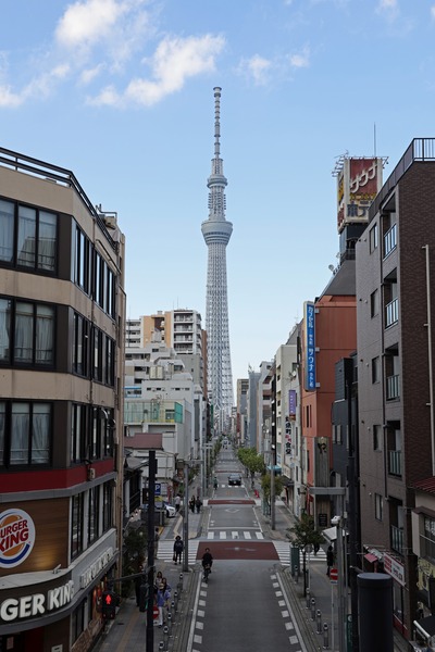 タワービュー通りから見る東京スカイツリー