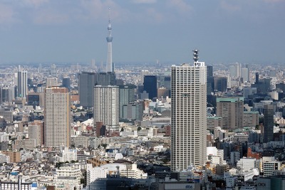 東京都庁から見た東京スカイツリー