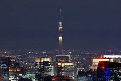 六本木ヒルズから見た東京スカイツリー夜景