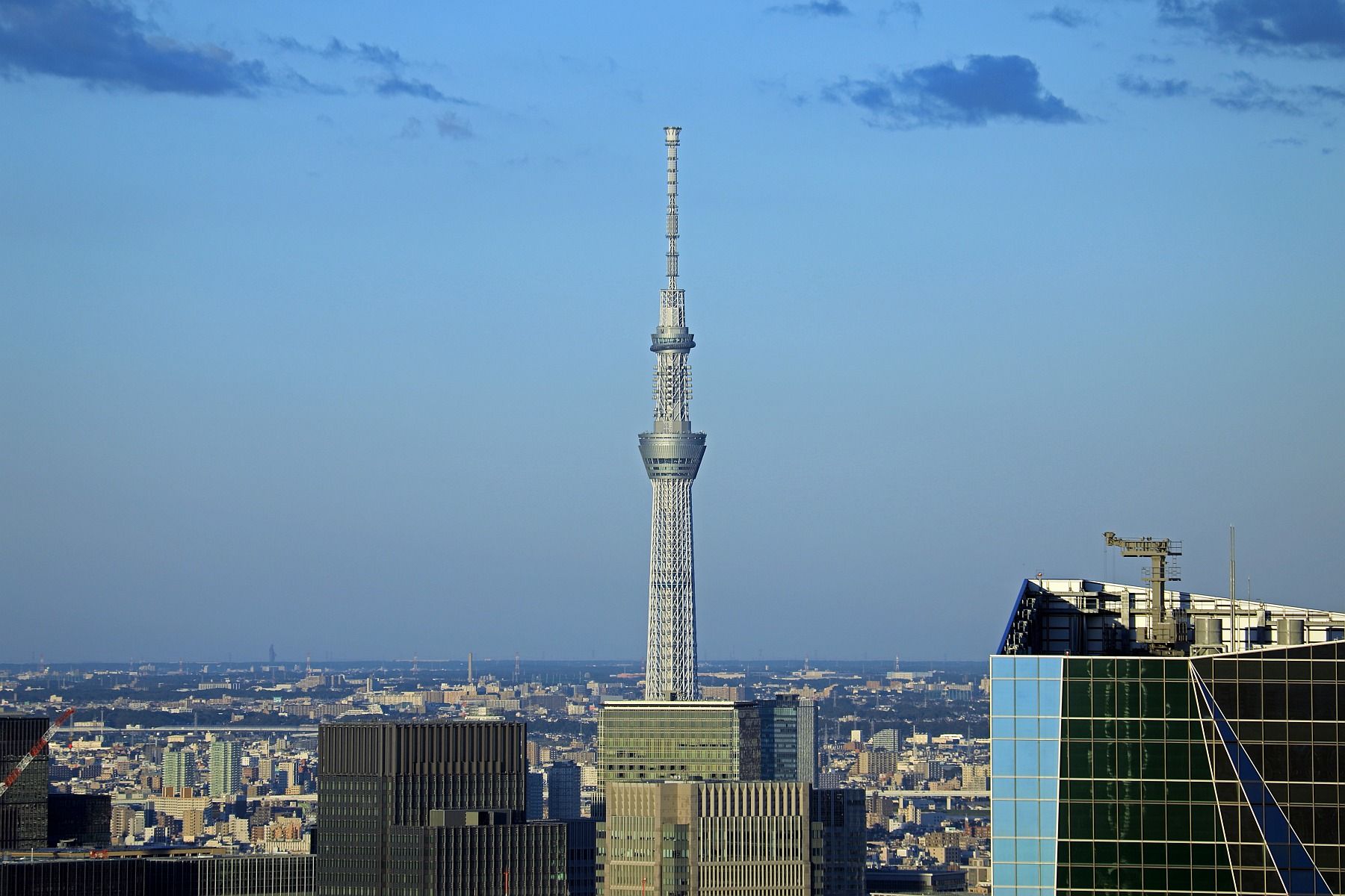 六本木ヒルズから東京スカイツリーを見ると牛久大仏が見える 東京スカイツリー定点観測所