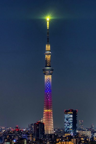 ハロウィン限定ライティング「ムーンライト・ハロウィン」