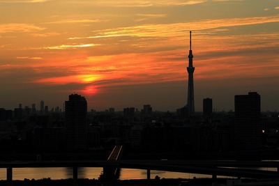 東京スカイツリー夕景