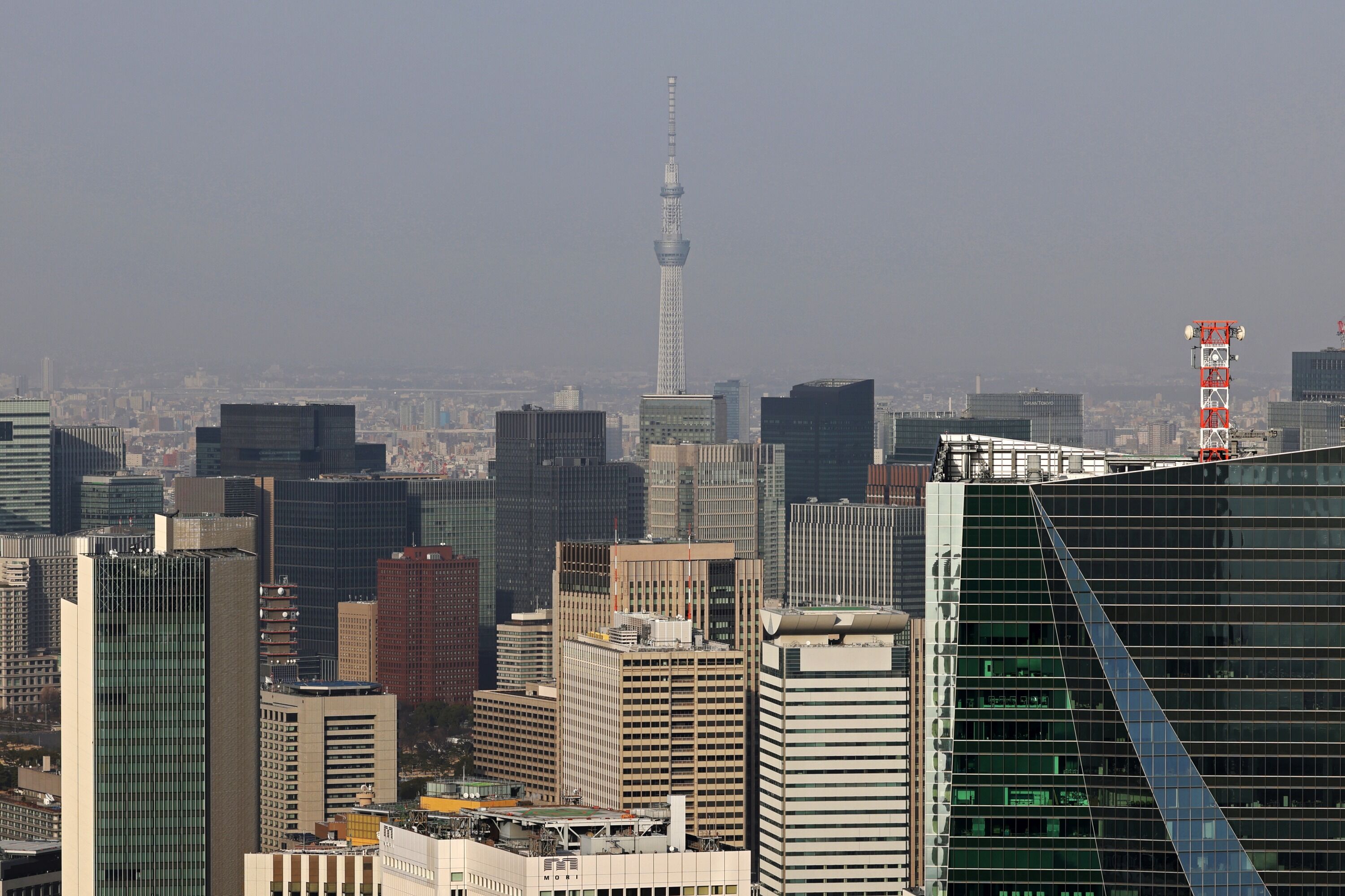 六本木ヒルズから見た東京スカイツリー 22年3月5日 東京スカイツリー定点観測所