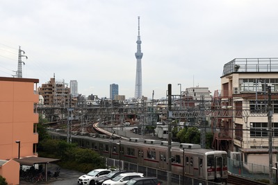 鐘ヶ淵から撮影した東京スカイツリー