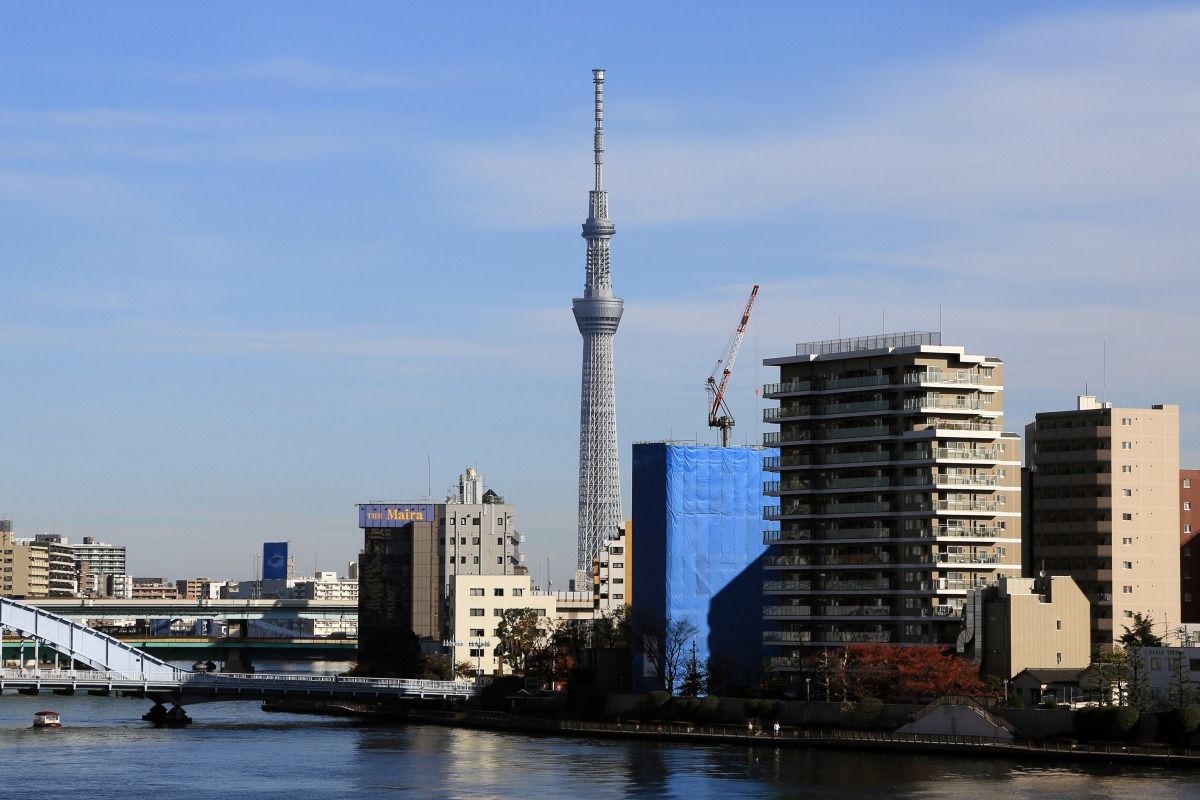 佃テラスから見た東京スカイツリー 東京スカイツリー定点観測所