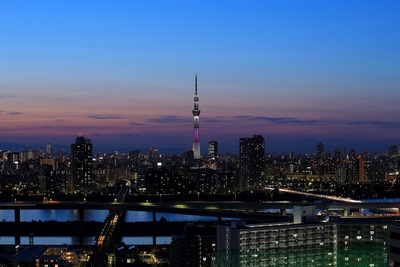 東京スカイツリー夜景「舞」