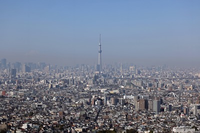 アイ・リンクタウン展望施設から見た東京スカイツリー