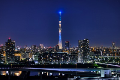 東京スカイツリー夜景「粋」