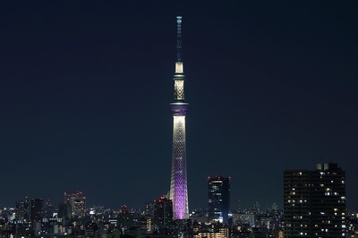 東京スカイツリー夜景「雅」