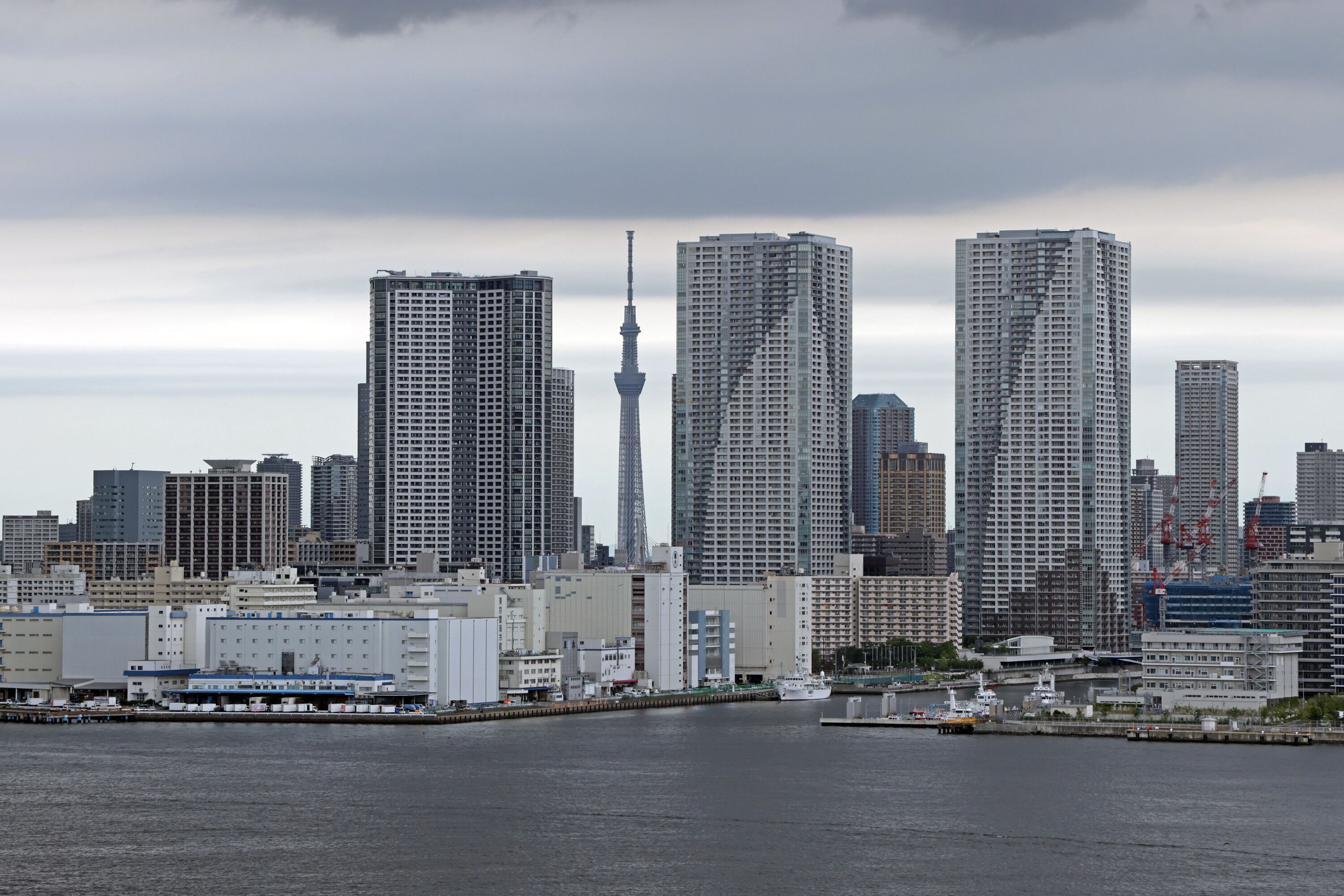 レインボーブリッジから見た東京スカイツリー 21年6月5日 東京スカイツリー定点観測所