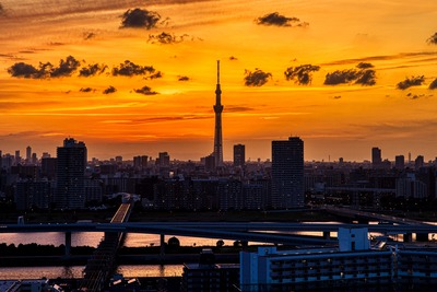 東京スカイツリー夕景