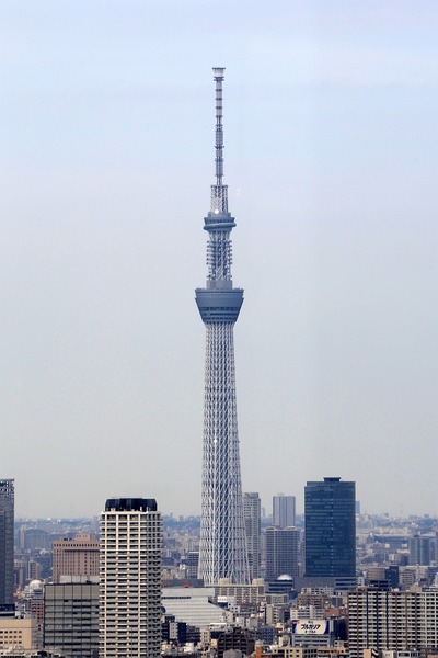 世界貿易センタービルから見た東京スカイツリー