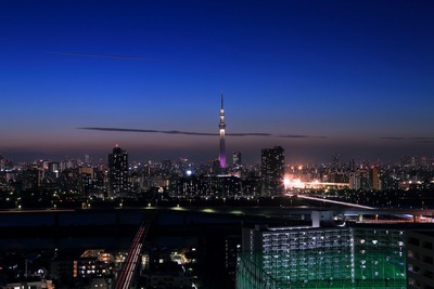 東京スカイツリー夜景「雅」