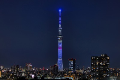 ハチワレをイメージしたライティング