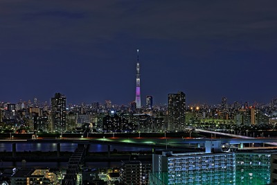 東京スカイツリー夜景「舞」