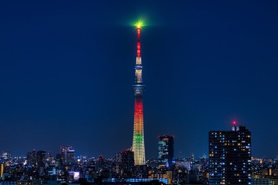 マリーゴールド