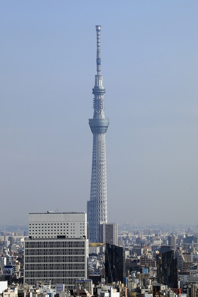 文京シビックセンターから見た東京タワー
