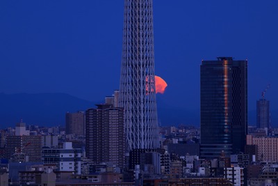 ほぼ満月と東京スカイツリー