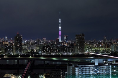 東京スカイツリー夜景「舞」