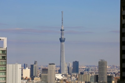 世界貿易センタービルから見た東京スカイツリー