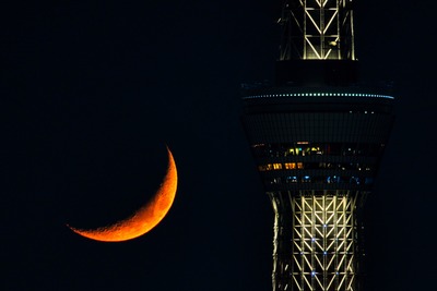 東京スカイツリーと細い月