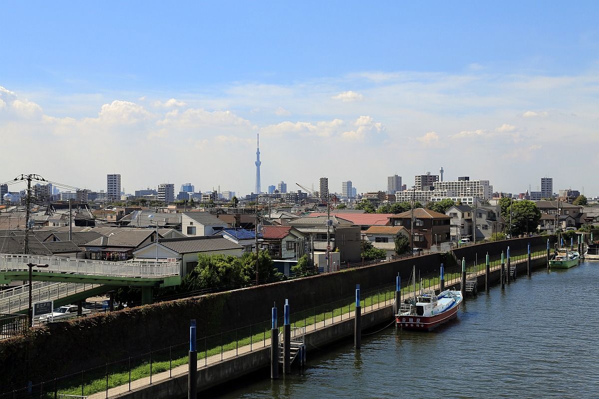 浦安橋から見た東京スカイツリー 12年8月25日 東京スカイツリー定点観測所