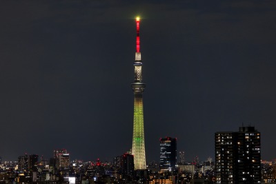 東京スカイツリー夜景「明花」