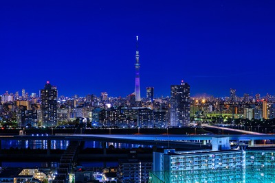 紫色の特別ライティング