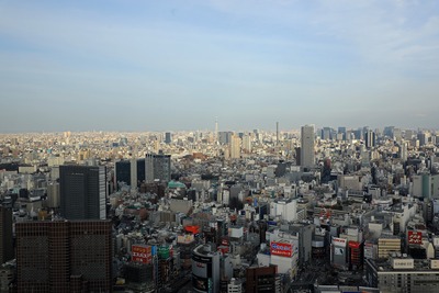 東郷青児記念 損保ジャパン日本興亜美術館から見た東京スカイツリー
