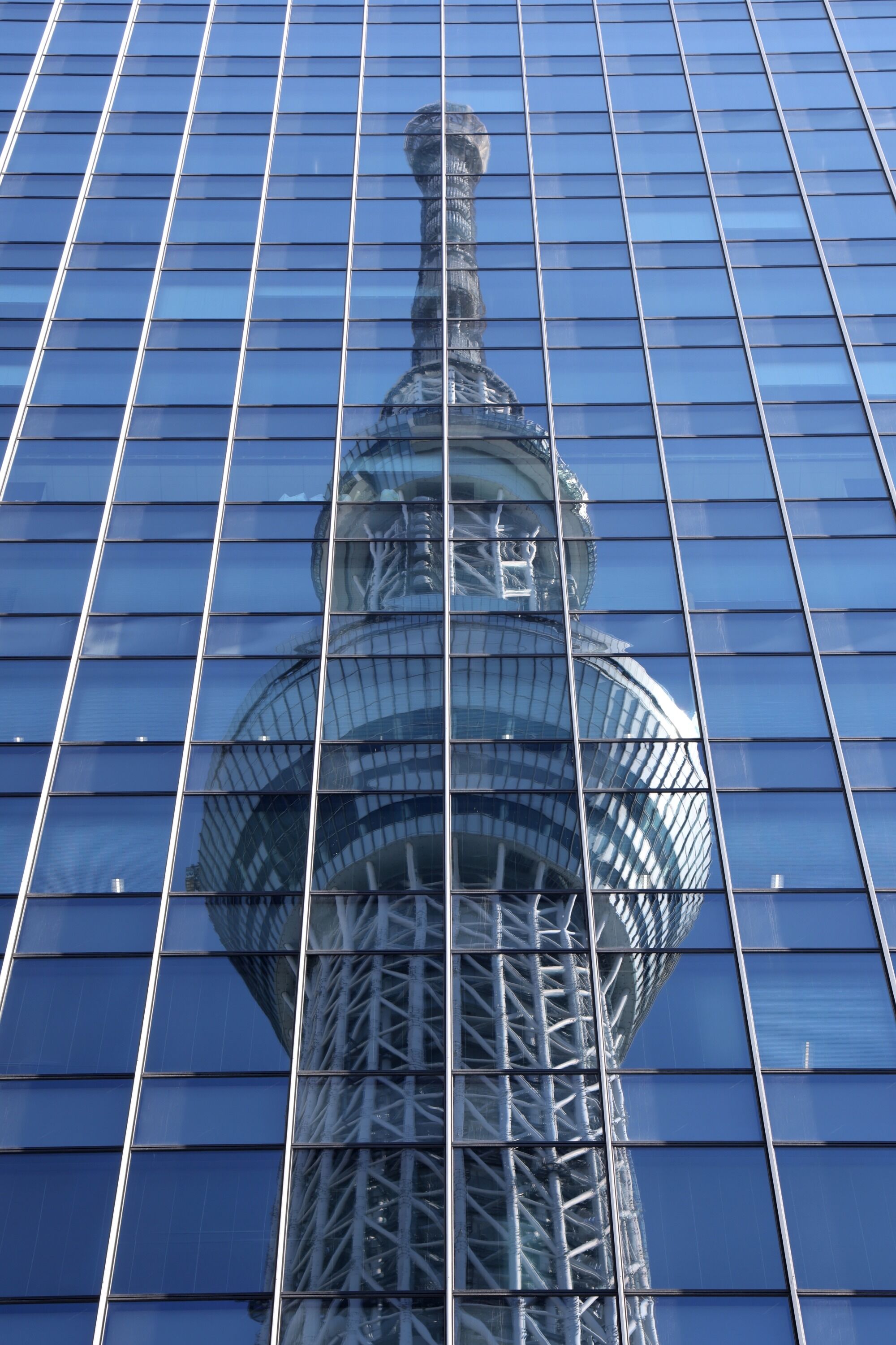 ガラスカーテンウォールに反射する東京スカイツリー 22年2月25日 東京スカイツリー定点観測所 ガラスカーテンウォールに反射する東京スカイツリー 22年2月25日 東京スカイツリー定点観測所