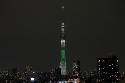 ホワイトツリー