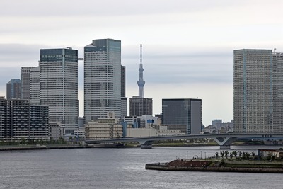 レインボーブリッジから見た東京スカイツリー