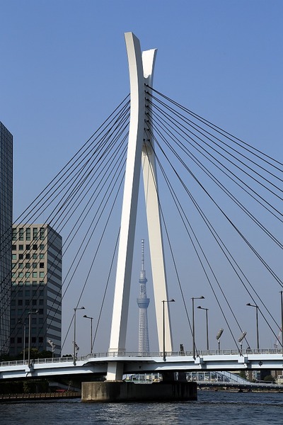 中央大橋と東京スカイツリー