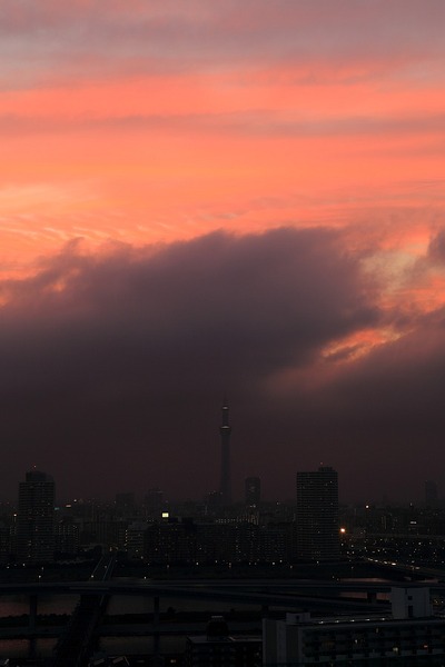 夕暮れの東京スカイツリー
