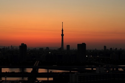 東京スカイツリー夕景